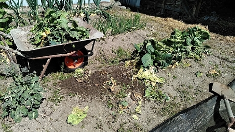 f:id:tossy123:20210410123729j:plain