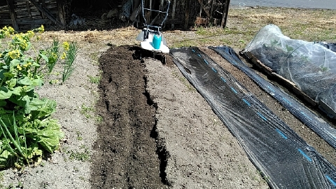 f:id:tossy123:20210410123930j:plain