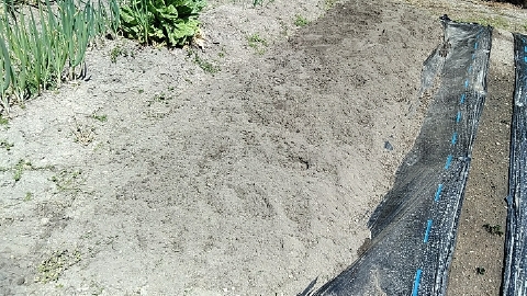 f:id:tossy123:20210410123957j:plain