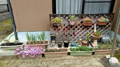 f:id:tossy123:20210416105742j:plain