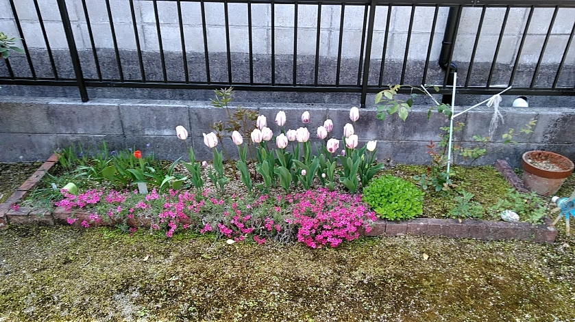 f:id:tossy123:20210416110653j:plain