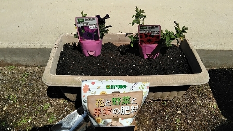 f:id:tossy123:20210416111034j:plain