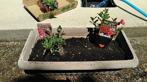 f:id:tossy123:20210416111403j:plain