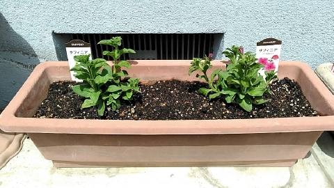 f:id:tossy123:20210416112431j:plain