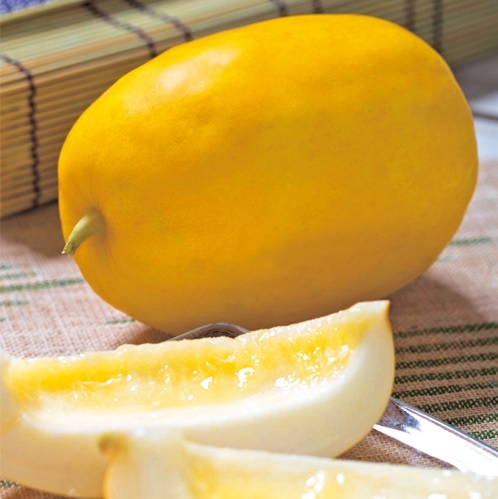 f:id:tossy123:20210418162445j:plain