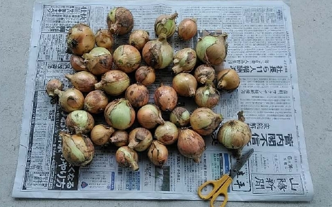 f:id:tossy123:20210618103713j:plain