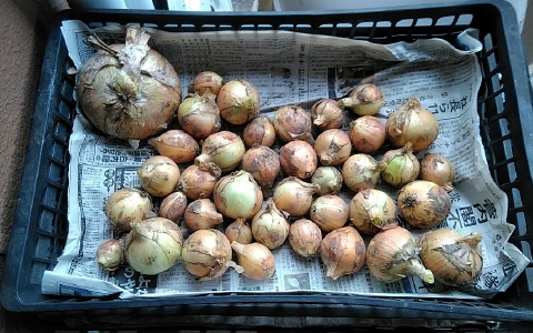 f:id:tossy123:20210618104100j:plain