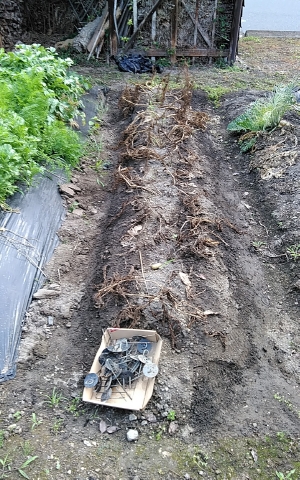 f:id:tossy123:20210623082347j:plain