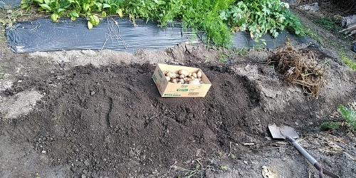 f:id:tossy123:20210623082620j:plain