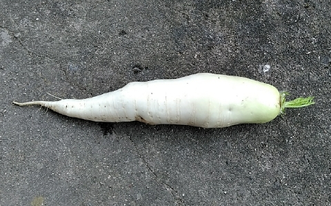 f:id:tossy123:20210626093002j:plain