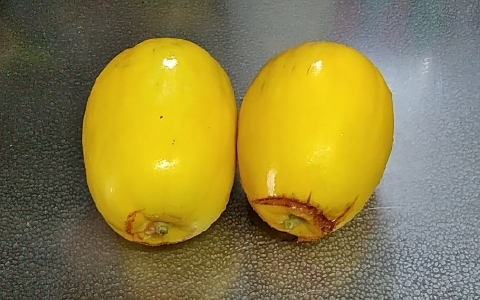 f:id:tossy123:20210626093220j:plain