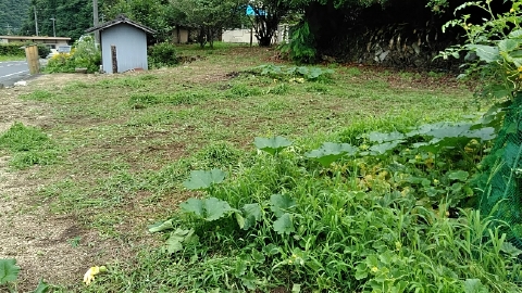 f:id:tossy123:20210711110928j:plain