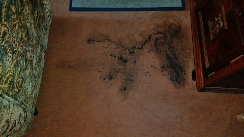 f:id:tossy123:20210802143144j:plain