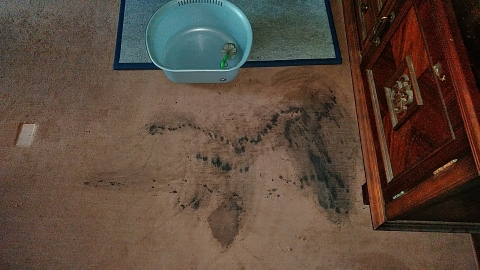 f:id:tossy123:20210802144231j:plain