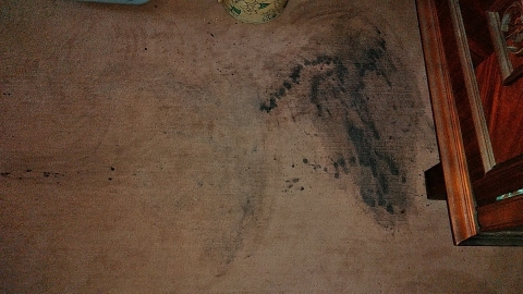 f:id:tossy123:20210802144554j:plain