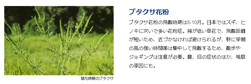 f:id:tossy123:20210917072734j:plain