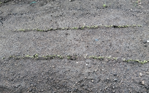 f:id:tossy123:20210930111033j:plain