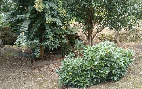 f:id:tossy123:20211007050631j:plain