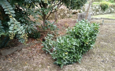 f:id:tossy123:20211007050643j:plain