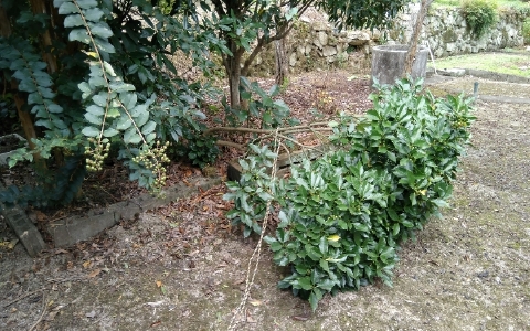 f:id:tossy123:20211007050729j:plain