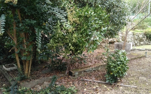 f:id:tossy123:20211007050852j:plain