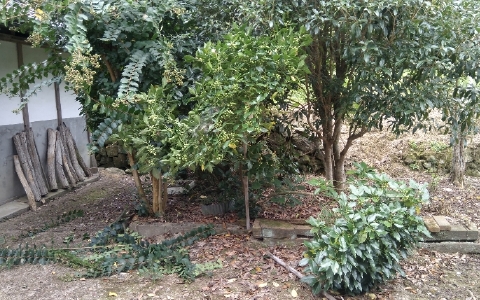 f:id:tossy123:20211007050919j:plain