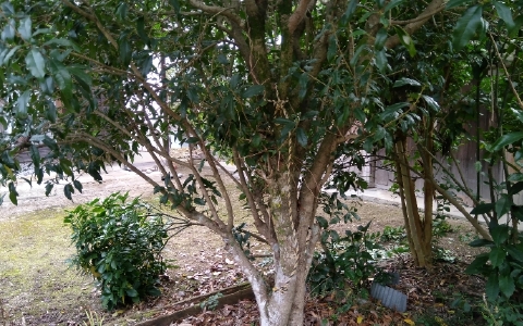 f:id:tossy123:20211007085616j:plain