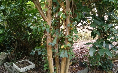 f:id:tossy123:20211007085630j:plain