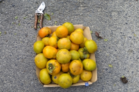 f:id:tossy123:20211014105141j:plain