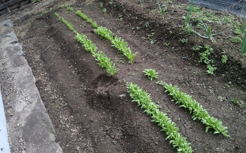 f:id:tossy123:20211017103540j:plain