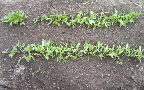 f:id:tossy123:20211017104346j:plain