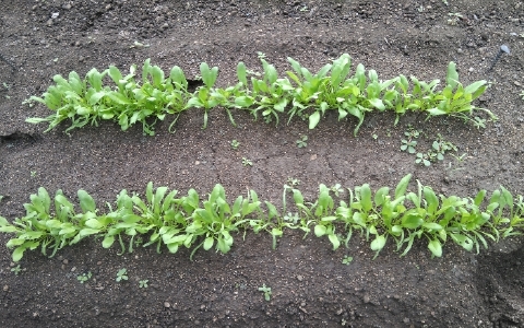 f:id:tossy123:20211017104456j:plain