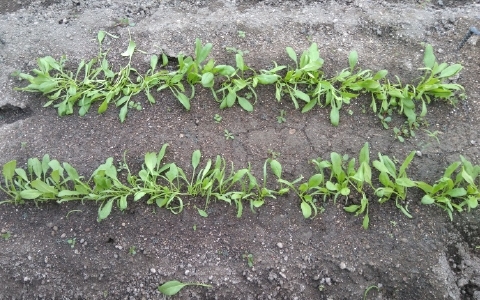 f:id:tossy123:20211017104504j:plain