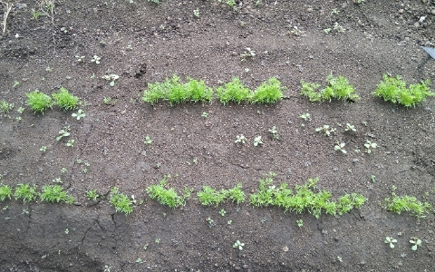 f:id:tossy123:20211017104856j:plain