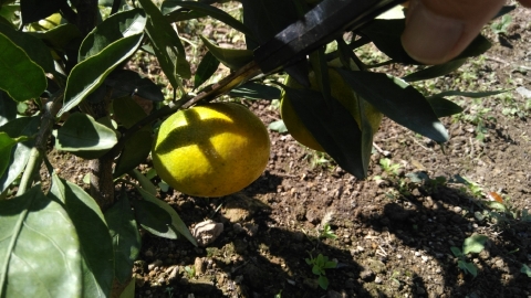 f:id:tossy123:20211018121057j:plain