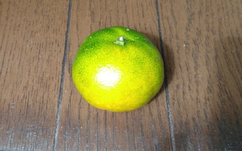 f:id:tossy123:20211018121128j:plain