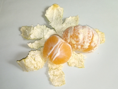 f:id:tossy123:20211018121257j:plain