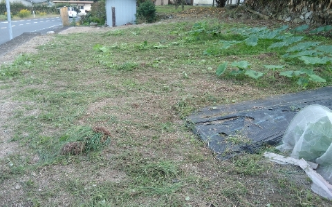 f:id:tossy123:20211019093214j:plain