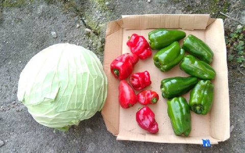 f:id:tossy123:20211103145142j:plain