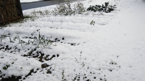 f:id:tossy123:20211218141902j:plain