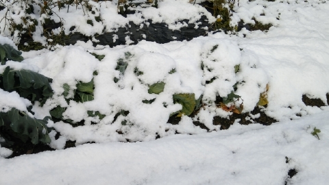 f:id:tossy123:20211218142121j:plain