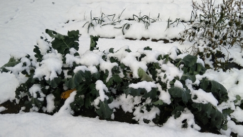 f:id:tossy123:20211218142131j:plain