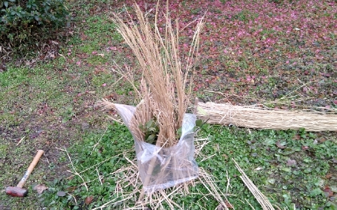 f:id:tossy123:20220118111750j:plain