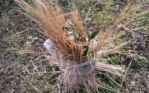 f:id:tossy123:20220118112400j:plain