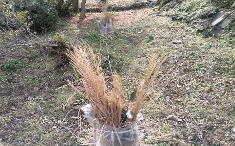 f:id:tossy123:20220118112408j:plain