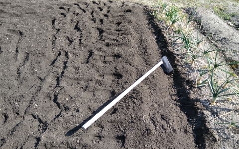 f:id:tossy123:20220308123518j:plain