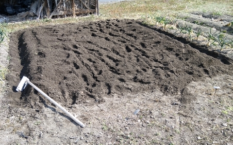 f:id:tossy123:20220308123533j:plain