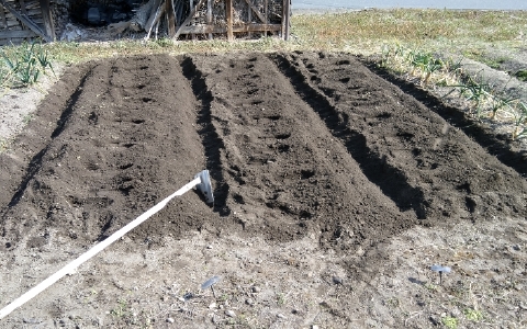 f:id:tossy123:20220308123844j:plain