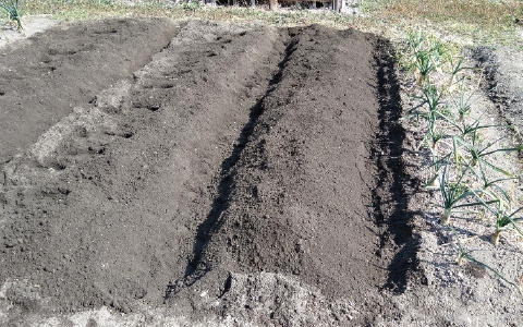 f:id:tossy123:20220308123959j:plain