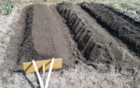 f:id:tossy123:20220308124543j:plain